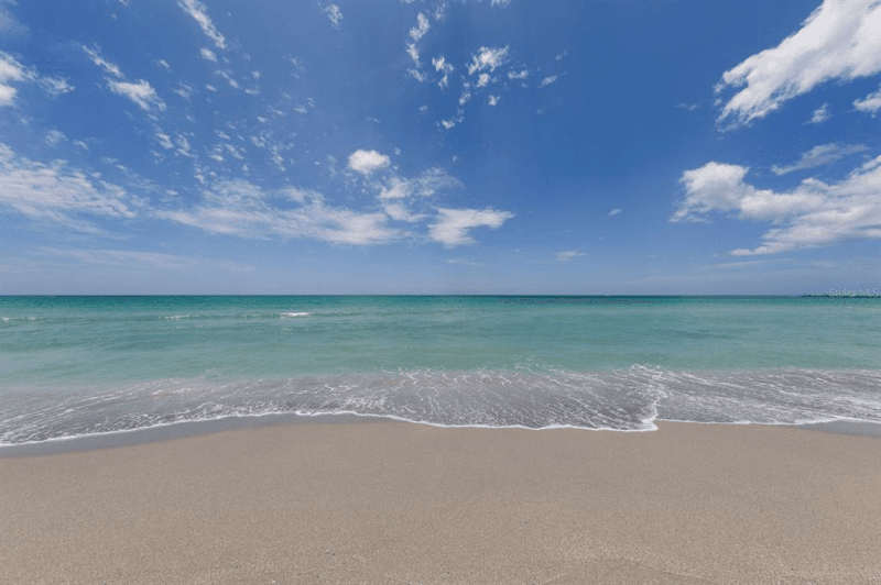 Venice Condo: 10102 L'Pavia Blvd