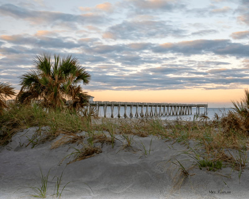 Venice Condo: 10102 L'Pavia Blvd