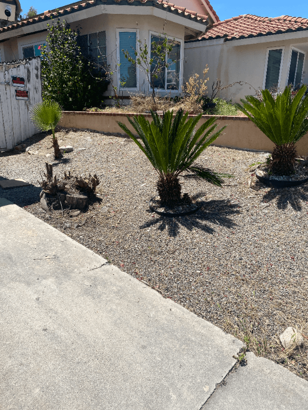 Lake Elsinore House: 16502 Mango Way