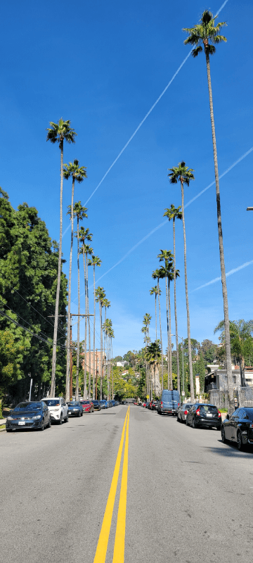 Los Angeles Apartment: 1802 N Wilton Place