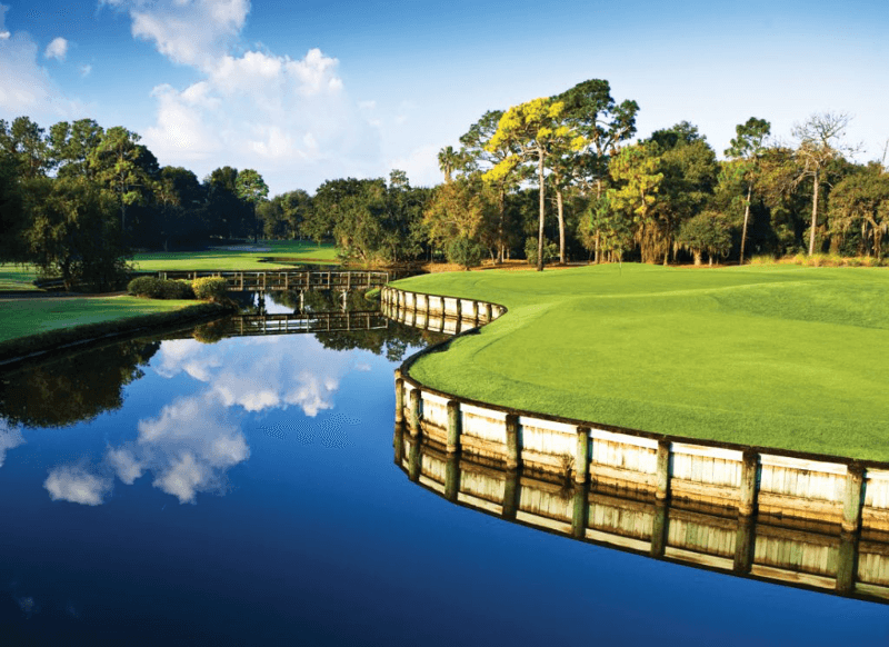 Palm Harbor House: 16 Citrus Drive