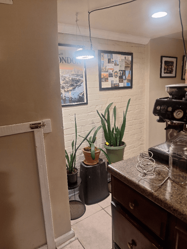Washington Townhome: 633 8th Street. NE