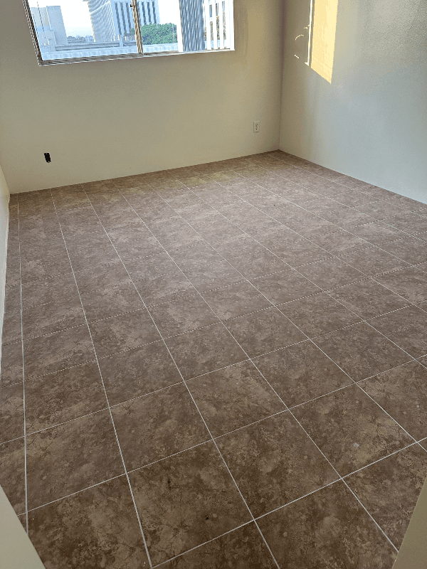 Los Angeles Apartment: 701 So Oxford Avenue