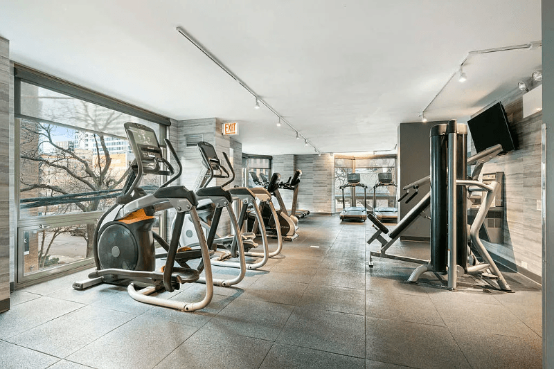 Chicago Condo: 1122 N Dearborn St