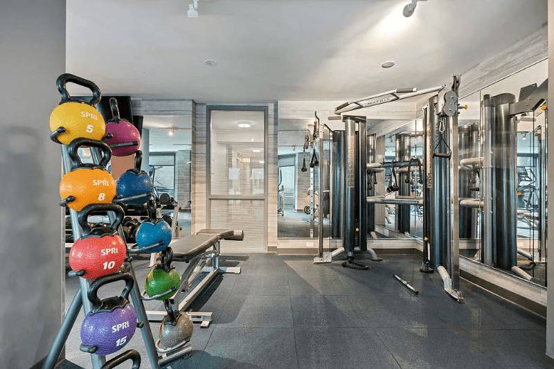 Chicago Condo: 1122 N Dearborn St