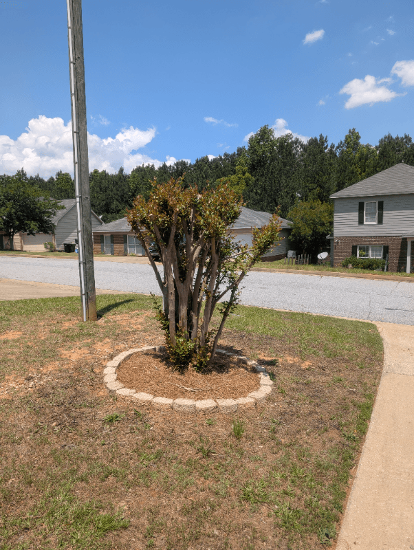 Columbus Single Room: 1341 Bunker Ridge Ln