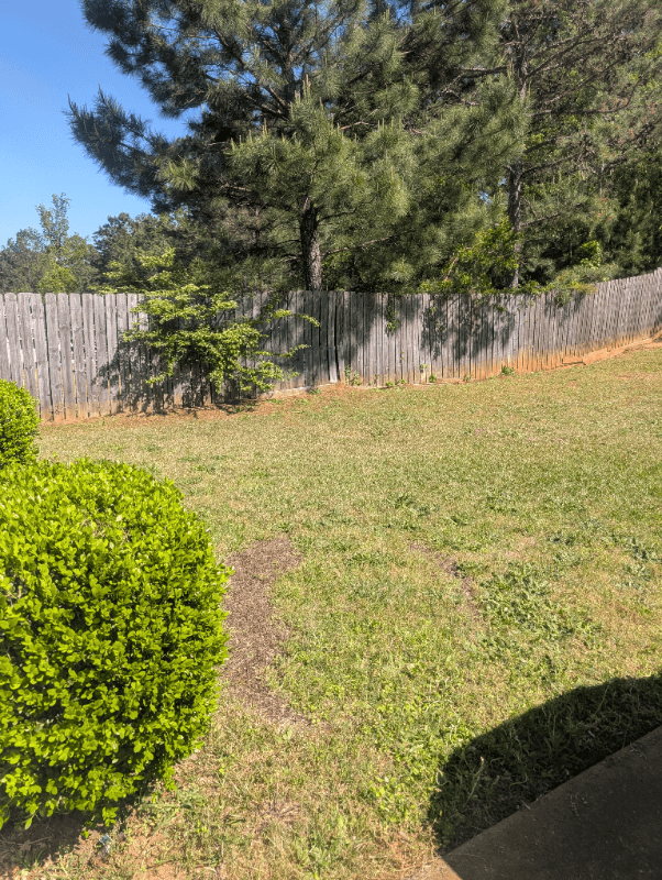 Columbus Single Room: 1341 Bunker Ridge Ln