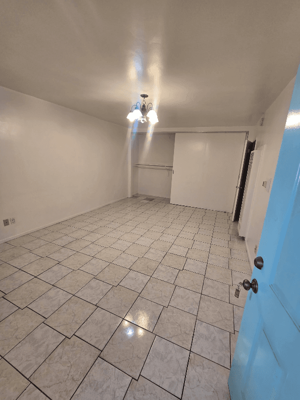 Los Angeles Apartment: 701 South Oxford Avenue