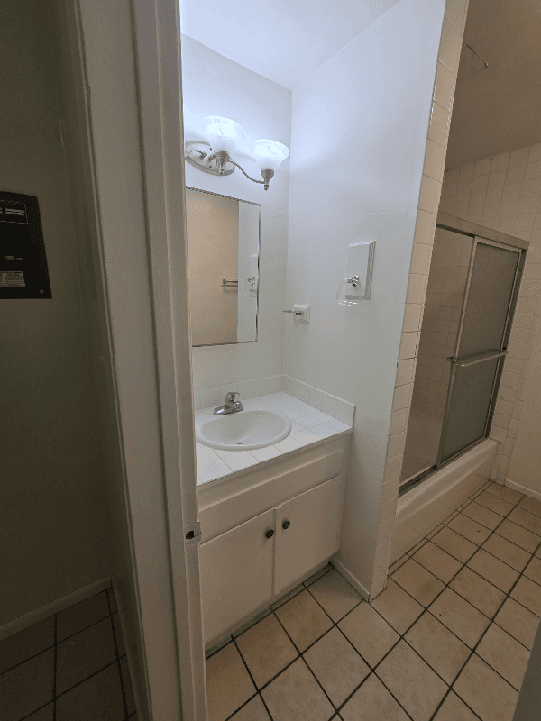Los Angeles Apartment: 701 South Oxford Avenue