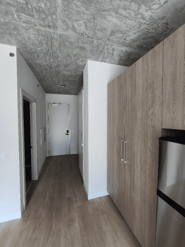 Chicago Condo: 216 W Chicago Ave