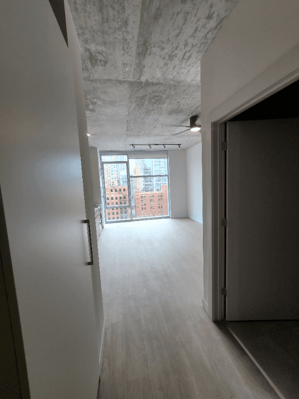 Chicago Condo: 216 W Chicago Ave