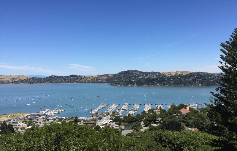 Sausalito House: 136 Spencer Avenue