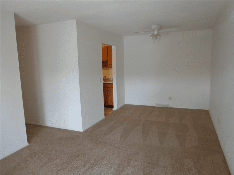 Maumee Apartment: 3141 Manley