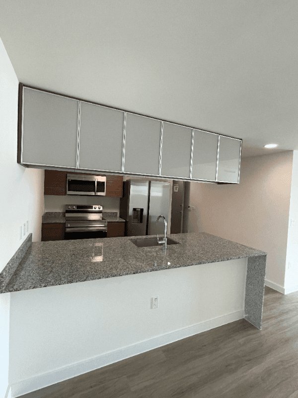 miami Condo: 2232 ne 2nd ave