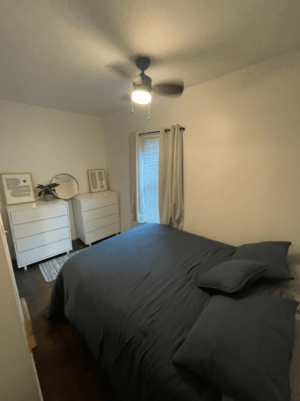 Chicago Apartment: 1931 S Peoria St