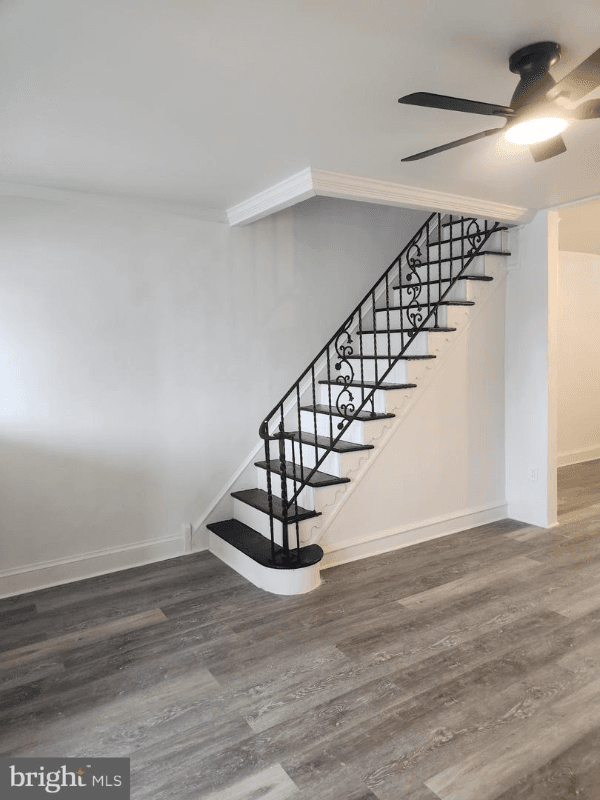 Philadelphia House: 1803 Bridge st