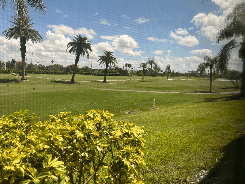 St Pete Beach Condo: 6191 Bahia Del Mar Blvd