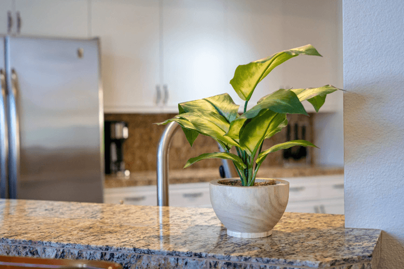 La Quinta Condo: 54790 Firestone