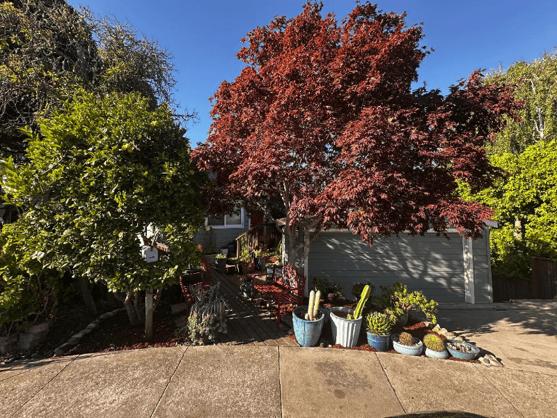 Santa Cruz Other: 1744 Foster Court