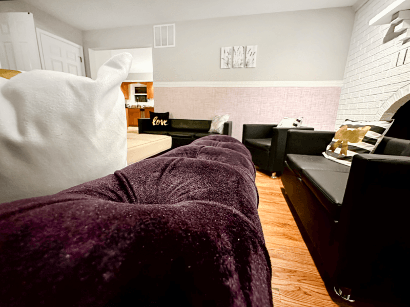 Highland Single Room: 6636 Isle of Skye Dr, Highland MD 20777