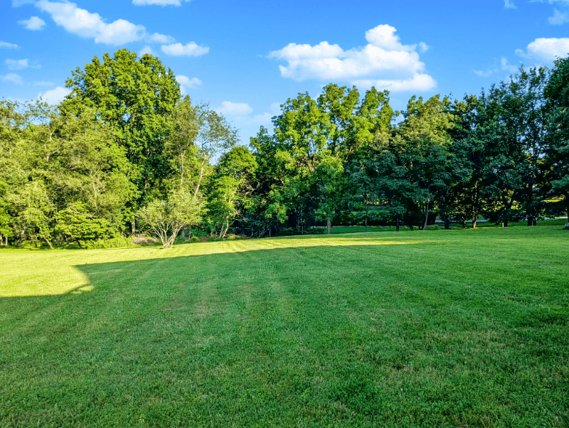 Highland Single Room: 6636 Isle of Skye Dr, Highland MD 20777