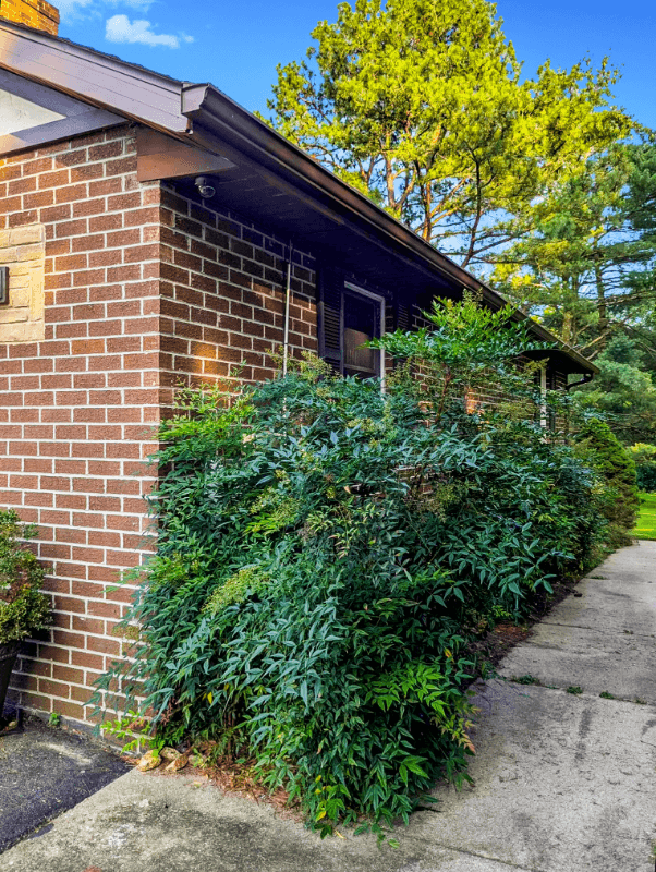 Highland Single Room: 6636 Isle of Skye Dr, Highland MD 20777