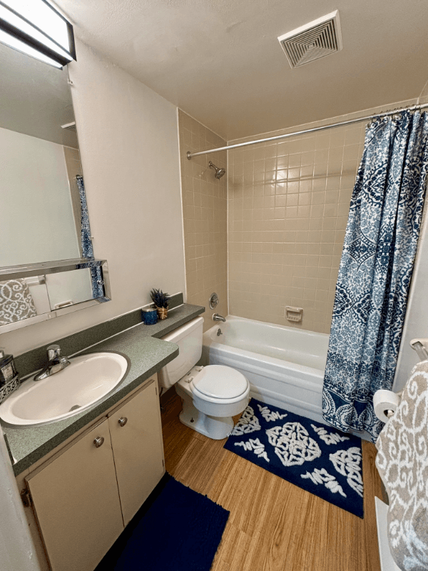 Kenmore Apartment: 2668 Elmwood Ave