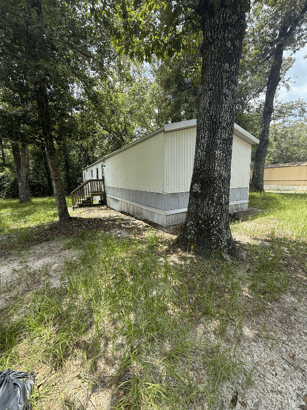 Walterboro House: 29 Bridle