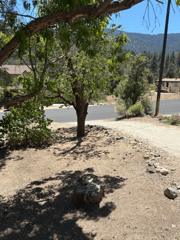 PINE MOUNTAIN CLUB House: 16601 Aleutian