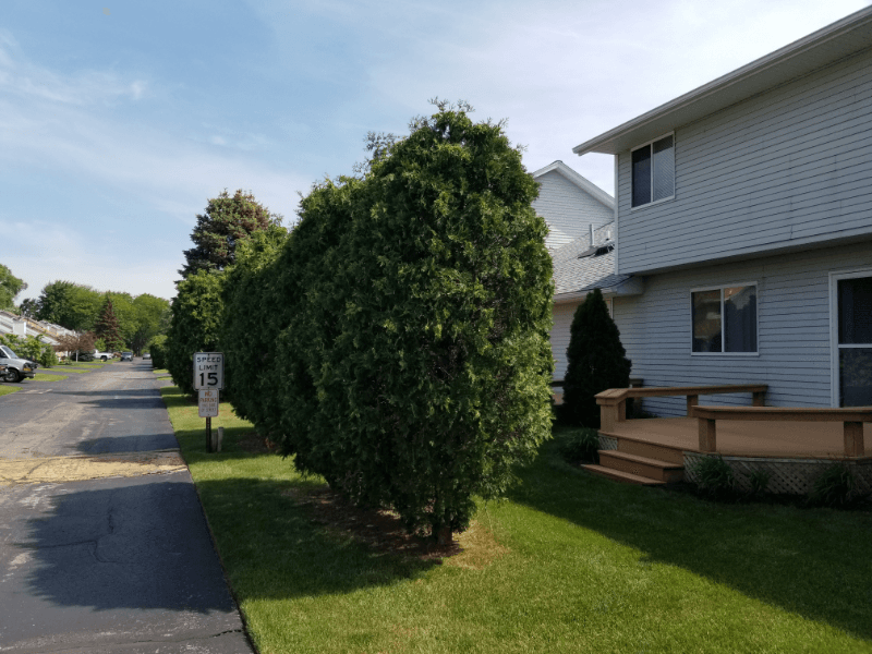 Toledod Condo: 6955 Dorr St.