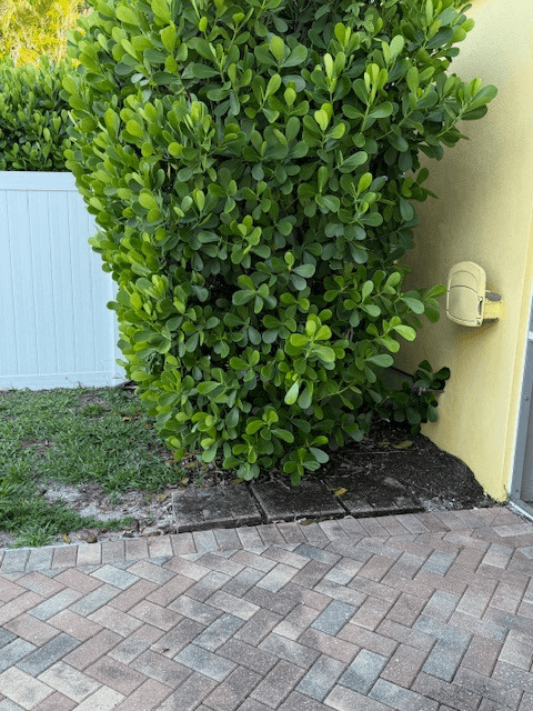 Naples Condo: 1201 Solana Drive