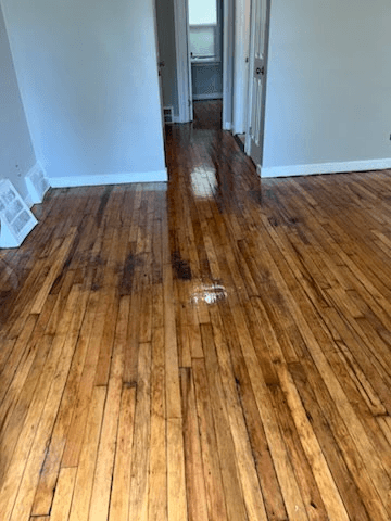 Detroit House: 20263 Caldwell St