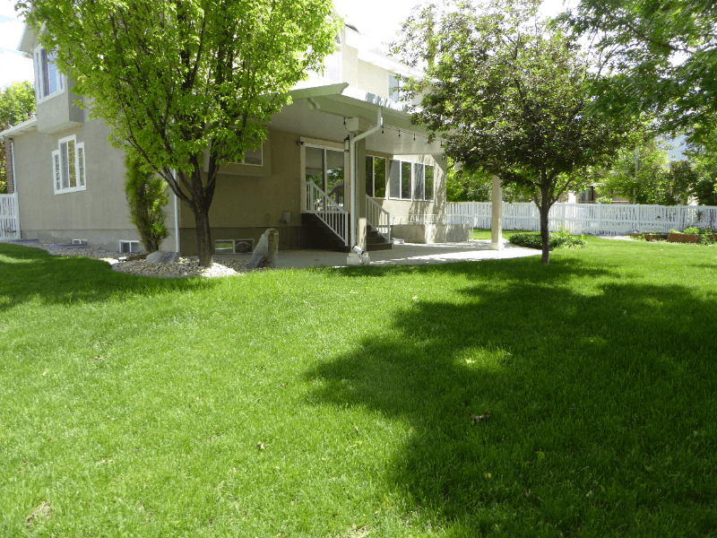 Draper House: 388 Draper Downs Drive