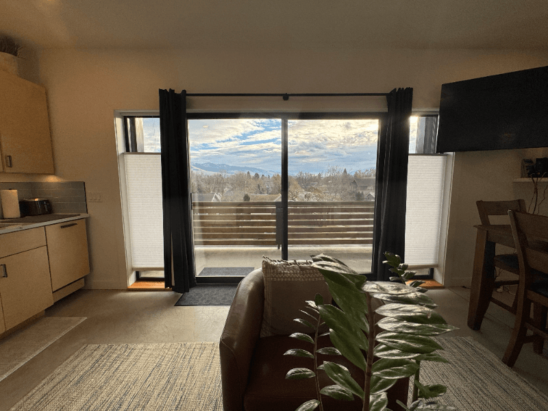 Missoula Condo: 680 South Johnson Street
