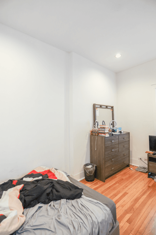 Chicago Multiplex: 1763 Wells