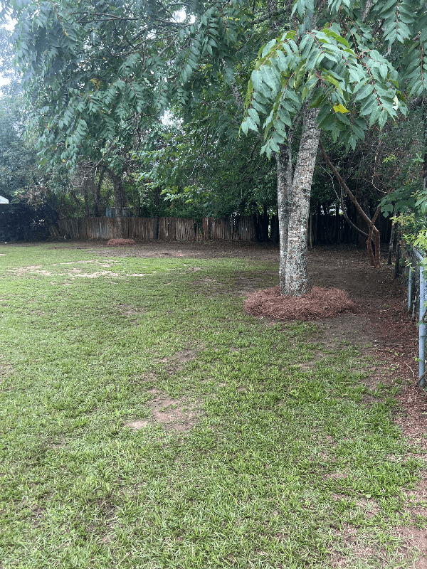 Florence House: 1805 Gilbert Drive