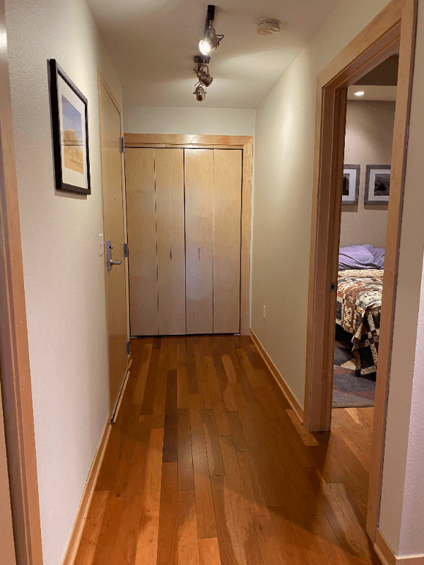 Milwaukee Condo: 106 W Seeboth St