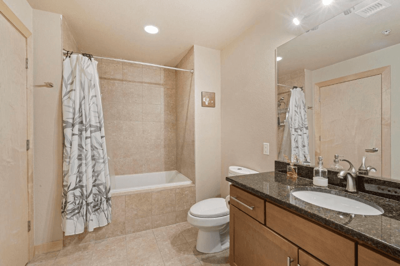 Milwaukee Condo: 106 W Seeboth St