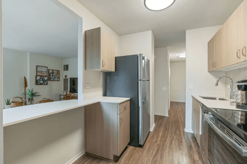 Chicgao Condo: 1125 N Dearborn