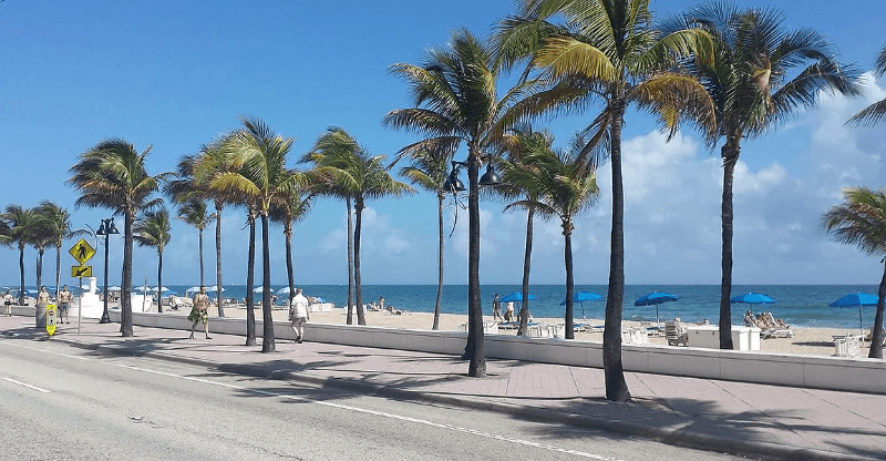 Oakland Park Apartment: 1568 Northeast 45th Street