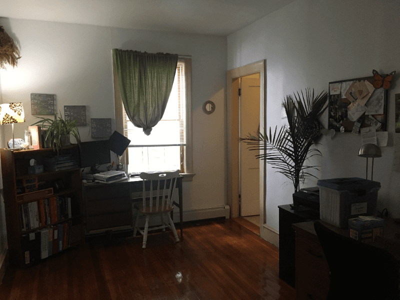Providence Multiplex: 381 Pine St