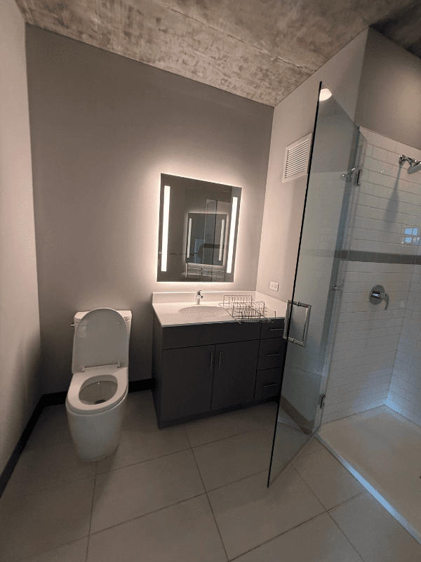 Chicago Condo: 180 N. Elizabeth