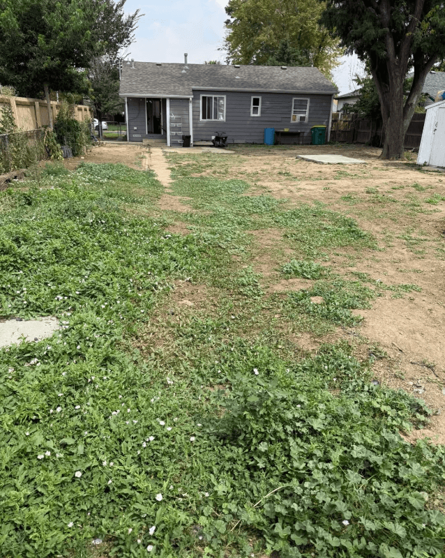 Aurora House: 2357 Elmira St.