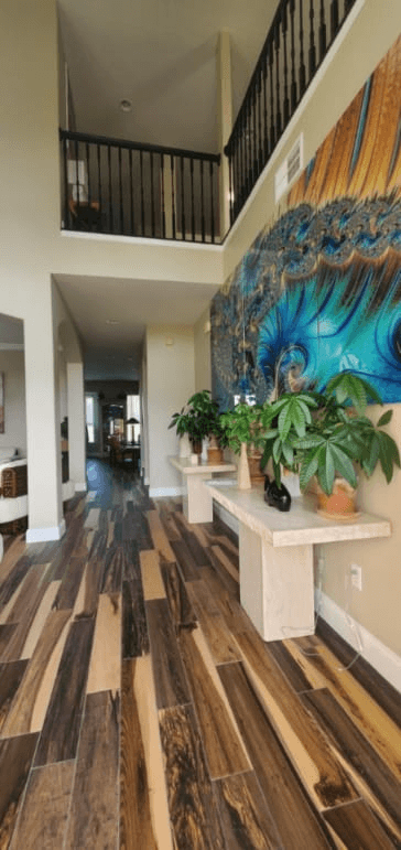 Daytona beach Single Room: 325 Wentworth Ave