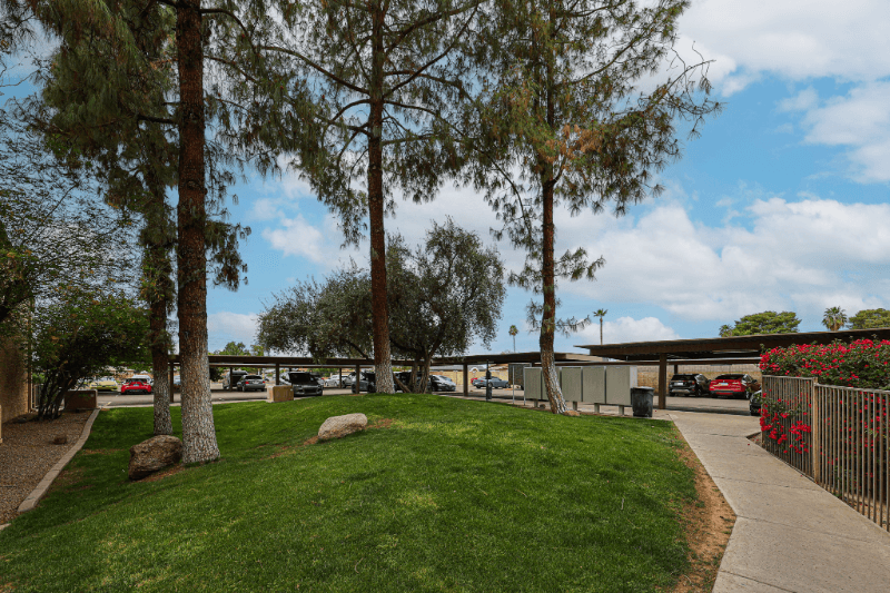Phoenix Condo: 18811 N 19TH AVE