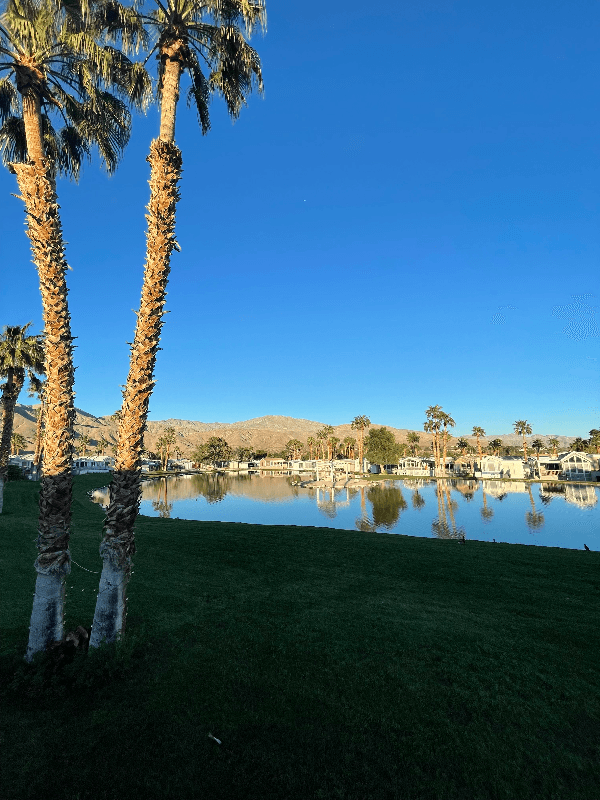 Desert Hot Springs House: 74711 Dillon Rd