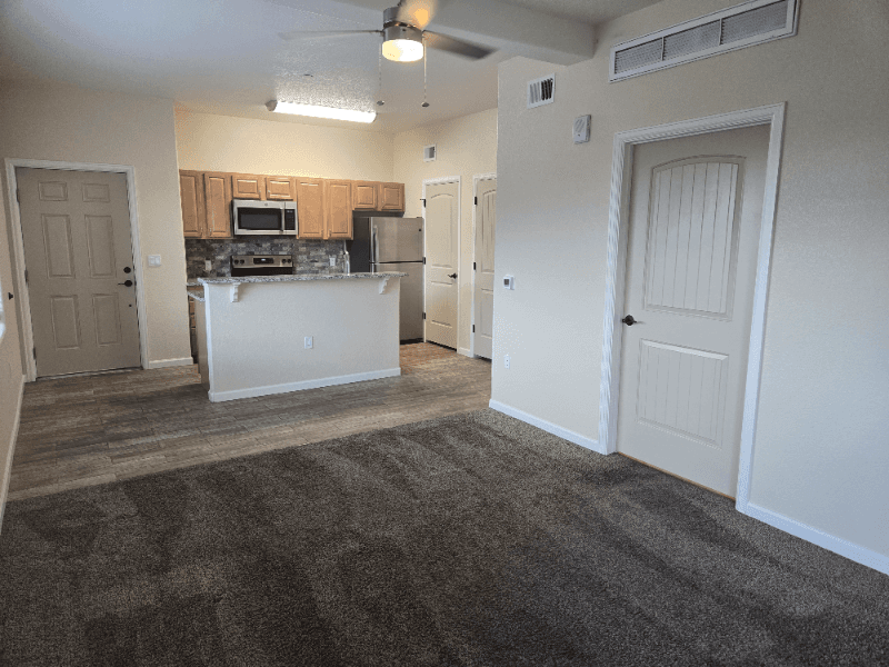 Colorado Springs Condo: 430 West Pikes Peak Ave. 304