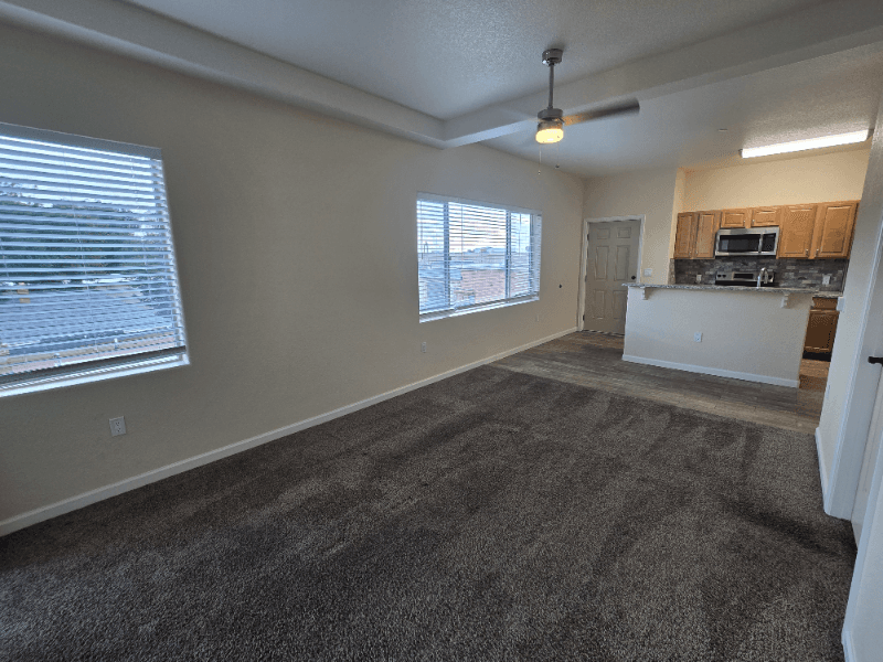 Colorado Springs Condo: 430 West Pikes Peak Ave. 304