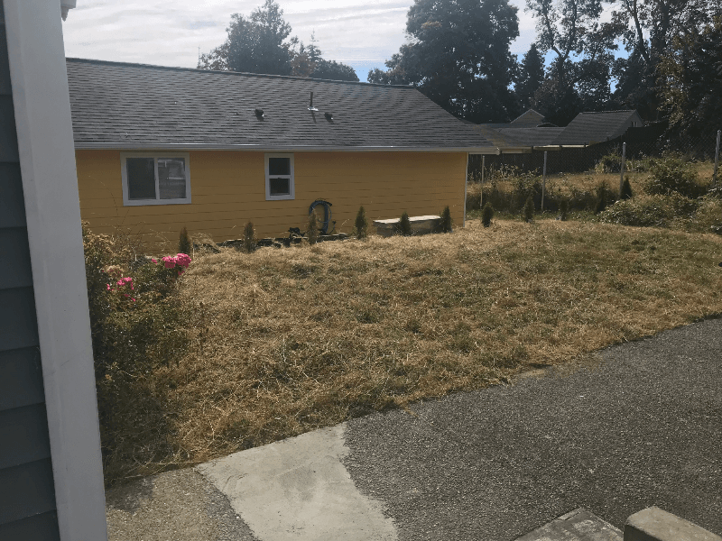 Burien House: 13628 2nd Ave SW