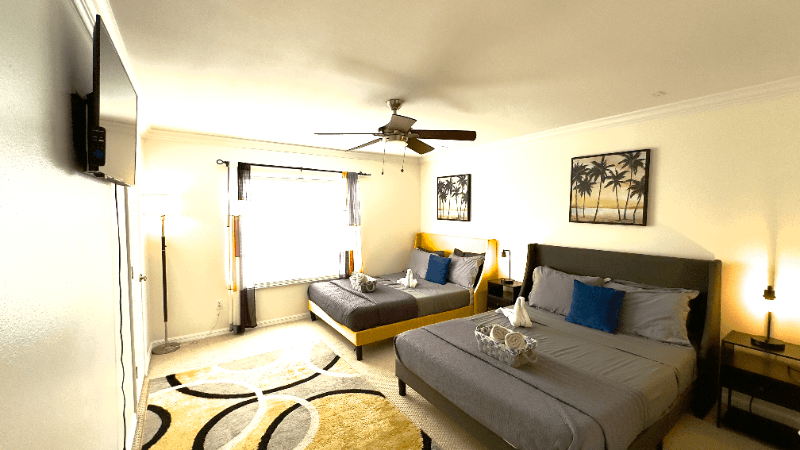 Tampa House: 4931 Elizabeth Anne Cir